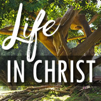 Life in Christ